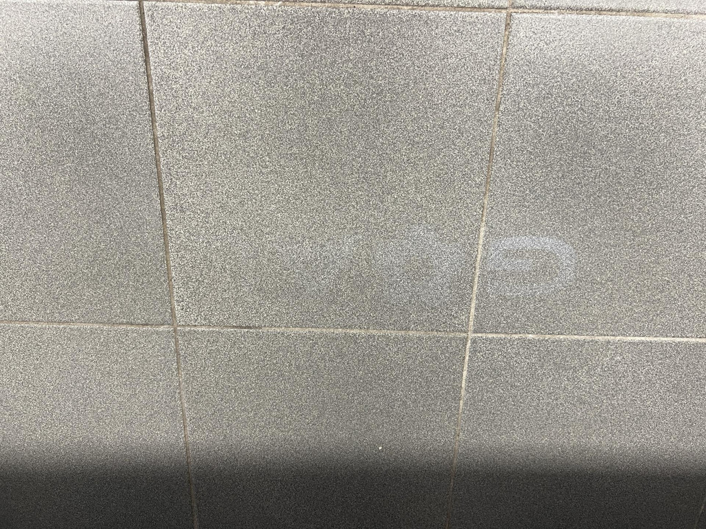 55987284-45.jpg