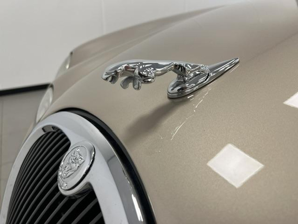 56810795-61.jpg